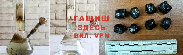 шишки Надым