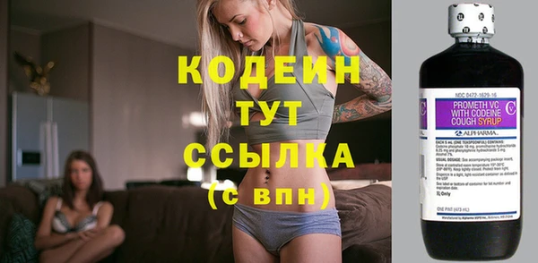 шишки Надым