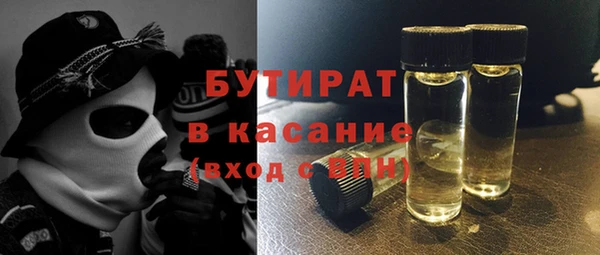 шишки Надым