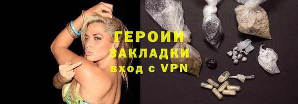 шишки Надым