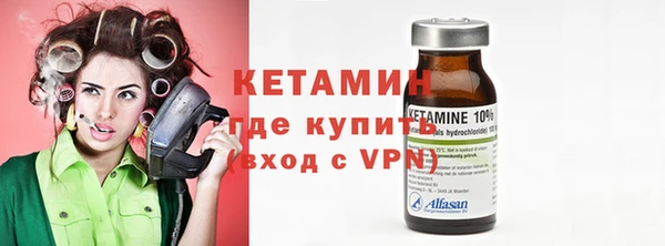 шишки Надым