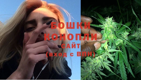 шишки Надым