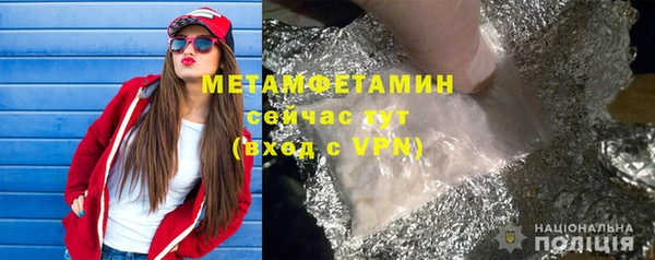 шишки Надым