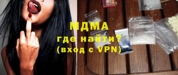 шишки Надым